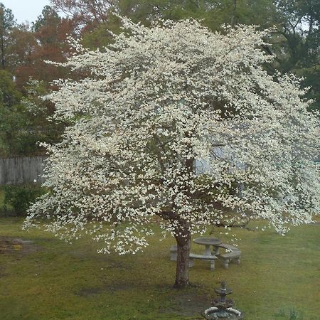 Bed and Breakfast Edenfield House Swainsboro Exterior foto